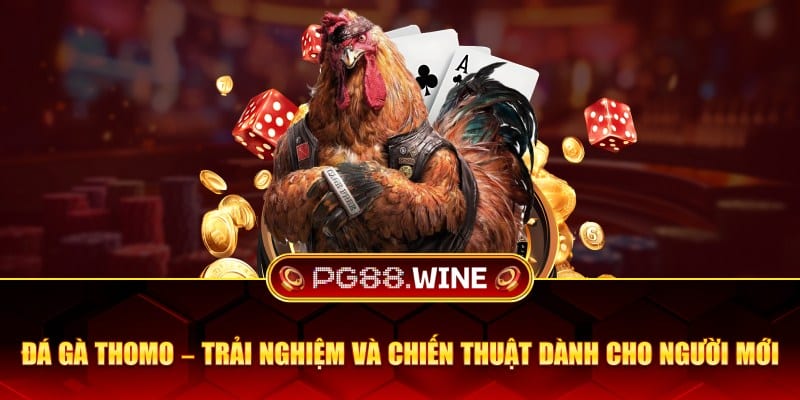 Đá gà thomo