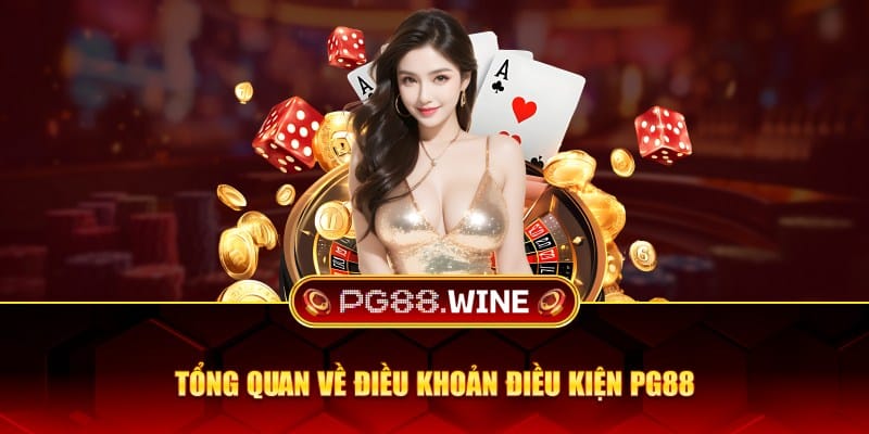 Tổng quan về điều khoản điều kiện PG88